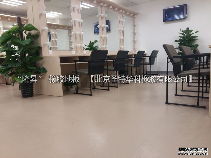 北京市天橋演藝劇場橡膠地板工程案例